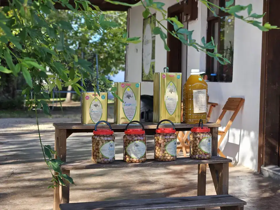 Antalya Tavşan Yüreği Zeytinyağı Litresi 1500 TL 2